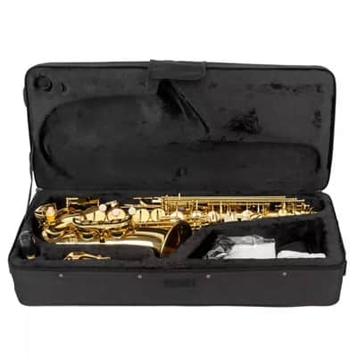 Ktaxon Saxophone Eb Sax Alto E Flat Brass with Mouthpiece & Accessories image 4