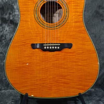 Alvarez FD60 Acoustic Electric Cutaway Dreadnought Amber Gloss Full Setup with Full Working EQ and FAST Shipping image 9