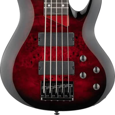ESP LTD B-205DX 5-string Electric Bass Guitar - Red Burst  Rosewood Fingerboard image 1