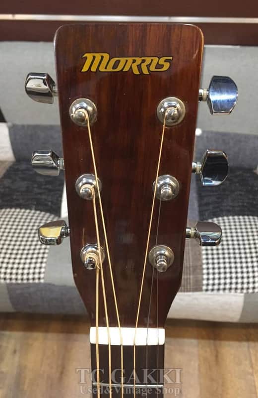 Morris MD 256TS | Reverb