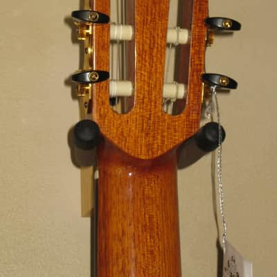 Giannini GWNEW 3 Exotic Series All Solid Wood Classical Guitar w/Hardshell Case image 9