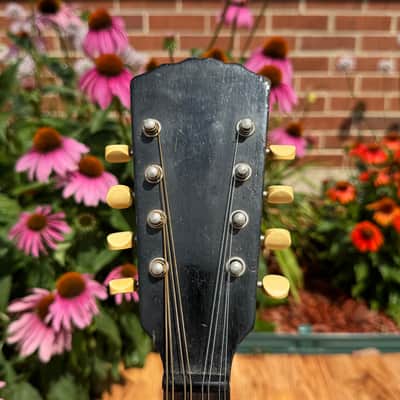 1920s Gibson Junior Style A-Jr Mandolin w/ Gibson HSC image 5