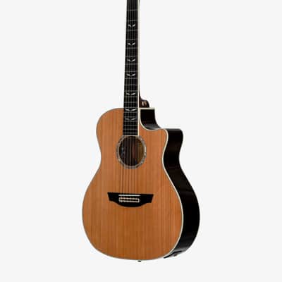 Orangewood Mason Live Nylon-String Guitar image 2