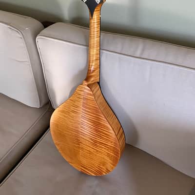 Collings Mandola 2023 - Honey Amber image 2