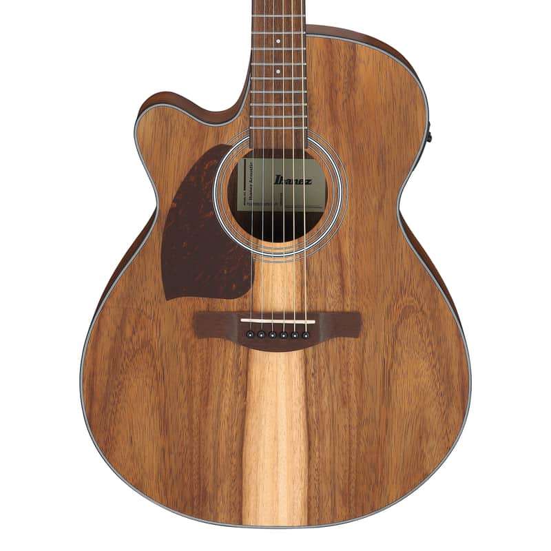 Used Ibanez PCB54E Acoustic-Electric Bass Guitar - Open Pore Natural image 1