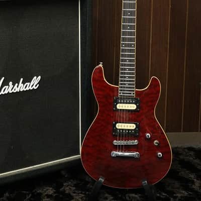 Fernandes APG 100 Rare Japan w/hsc | Reverb