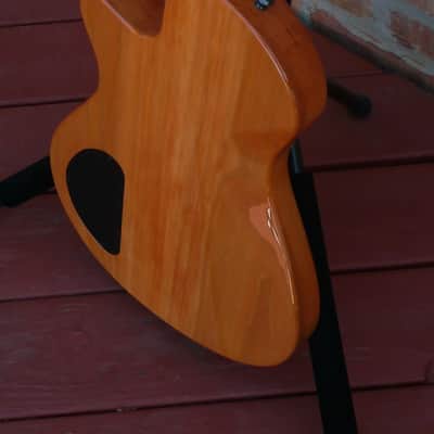 Veillette Paris Lined Fretless image 10