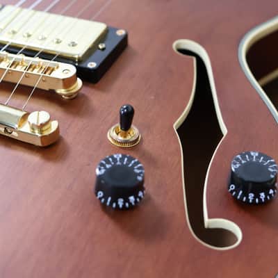 D'Angelico Premier Grateful Dead SS | Walnut image 9