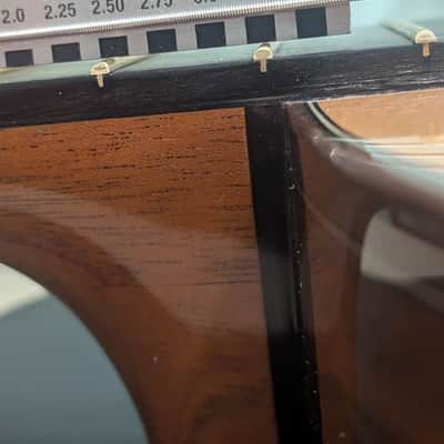 Steve Allen Solid Granadillo and Cedar classical guitar image 21