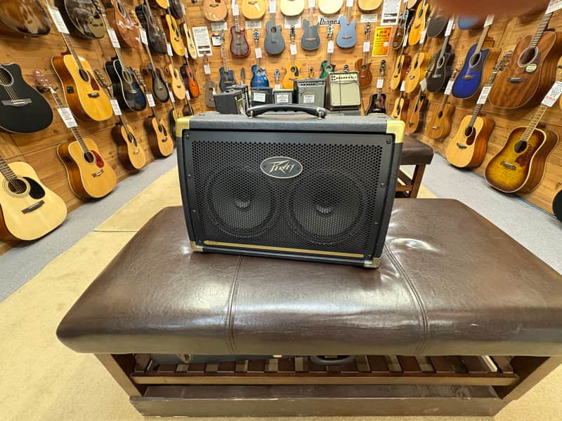 Peavey Ecoustic E208 30W 2x8" Acoustic Amp 2010s | Black | In-Store Only (for now) image 1