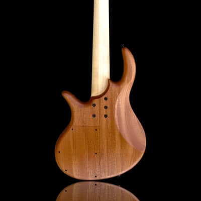 Elrick EVO Gold 5 String Horse Chestnut 2024 - Natural image 6