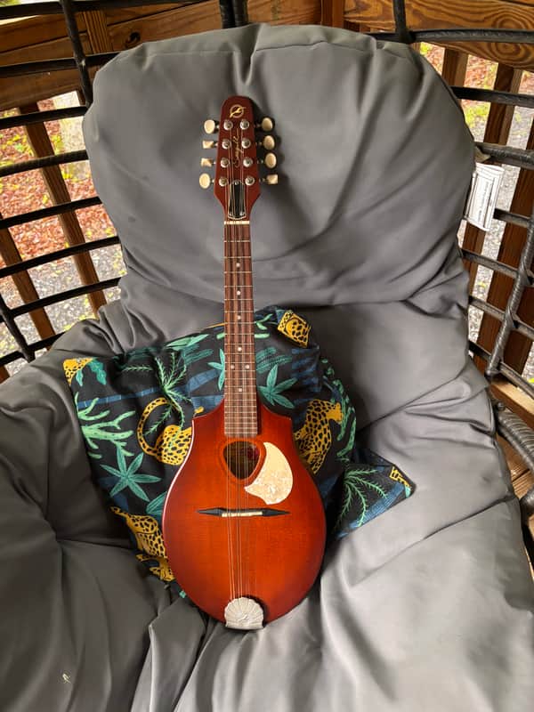 Seagull S8 Burnt Umber SG A-Style Mandolin 2010s - Burnt Umber image 1