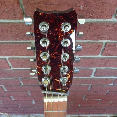 1960's Jackson Guldan Cittern - 10 Strings in B Tuning - Fifths Tuning image 5