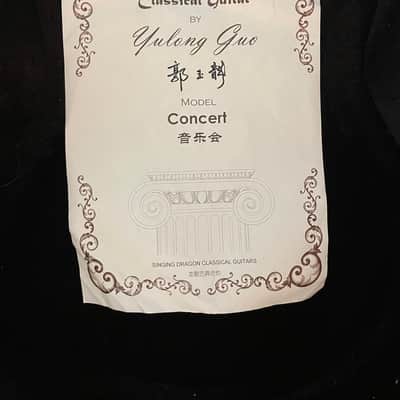 Yulong Guo Concert Model 2013 image 10