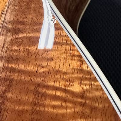 Taylor Gold Label K14e - Sunburst #75025 (NAMM 2026) image 8