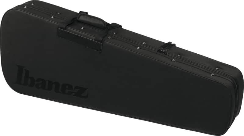 Ibanez F30EG-BK Foamed Electric Guitar Case with Shoulder Straps - Black image 1