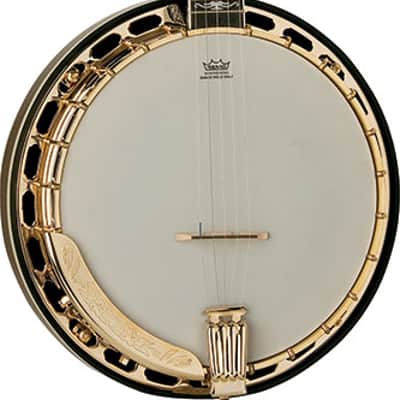 Washburn B17 | 5-String Premium Resonator Banjo w/HSC . New with Full Warranty! image 4