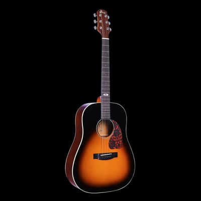 WINZZ AFM16-SD Slope Shoulder Dreadnought Solid Sitka Spruce Acoustic Guitar with Reinforced Carbon Fiber Neck image 6
