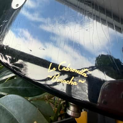 Fender Custom Shop La Cabronita Boracha image 19