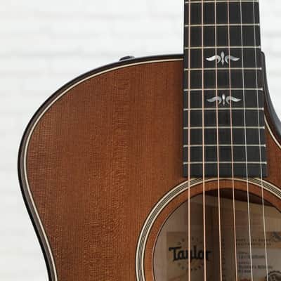 Taylor Builder's Edition 614ce WHB 2019 - Present - Wild Honey Burst image 4
