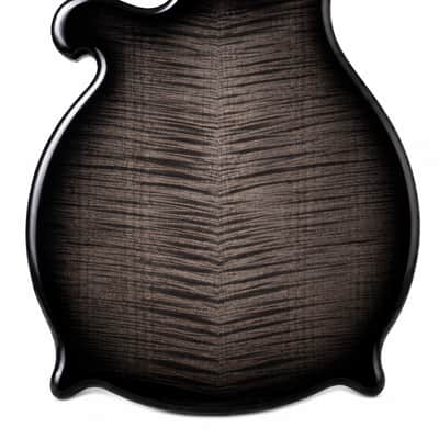 Weymann® - Type G - Official Replacement Body - USA Made - Solid Body Electric Guitar image 4