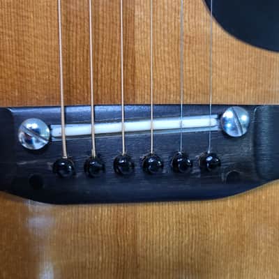 Vintage 1975 Epiphone FT-120 Japan Norlin Pro Setup New Strings Soft Shell Case image 3