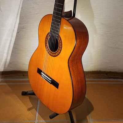 Kasuga G-312 image 11