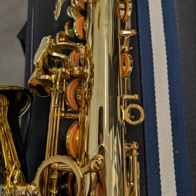Ripa 5030VFRGL-SS Sax Alto Special image 5