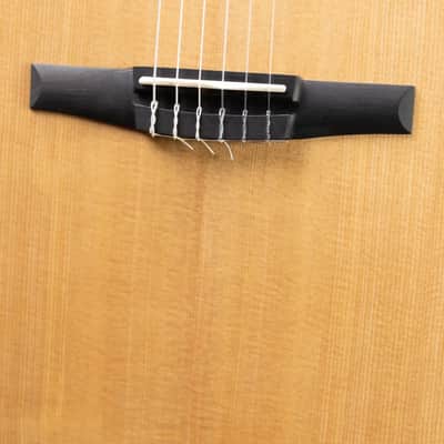 Taylor 214ce-N Nylon Grand Auditorium Acoustic/Electric Guitar with Gig Bag image 13