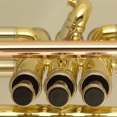 Wisemann 0901TR Trumpet - Brass lacquered, with canvas case and mouthpiece image 2