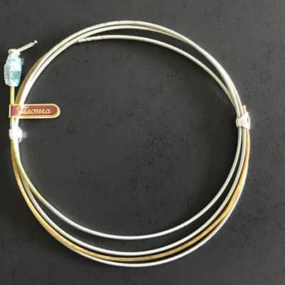 Lenzner Fisoma Gut Double Upright Bass String A Silver Plated Roundwound image 1