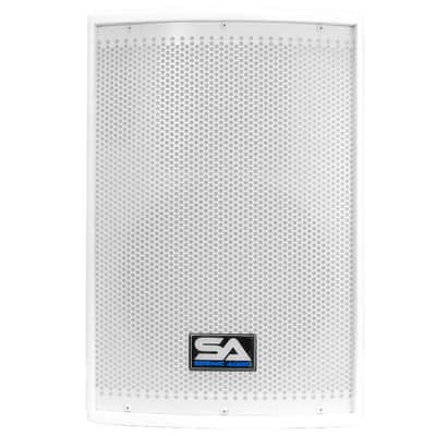 New SEISMIC AUDIO 10" White PA/DJ Speaker/Floor Monitor image 2
