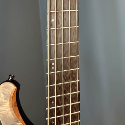 Ibanez EHB1505MS Bass Guitar, 5 String, Mahogany Body, Panga Panga Neck & Fingerboard - Black Ice Flat image 16