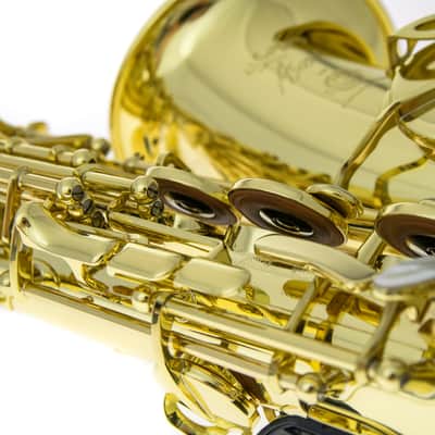 Selmer Axos Alto Saxophone image 10