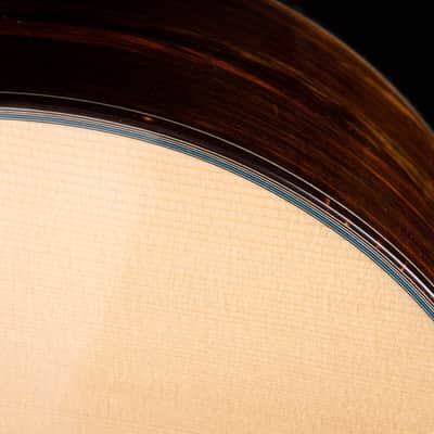 Santa Cruz Fingerstyle Custom - Moon Spruce & Cocobolo image 18