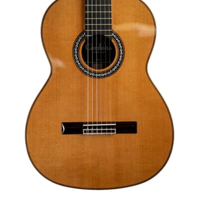 Cordoba C12-CD Cedar Classical Guitar 2026s - Natural - Brand New image 2