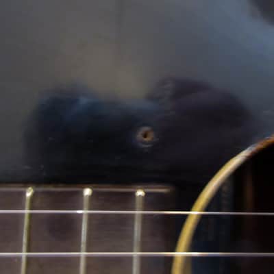 Supertone Round-Hole Archtop 1936 image 14