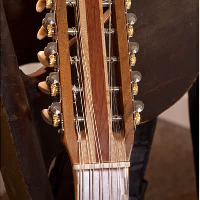 12-String Turkish Cumbus Deluxe w/ Soft Case image 6