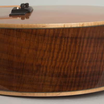 Circle Strings  A-1 10 String Acoustic Flat Top Guitar (2018), ser. #119, original molded white plastic hard shell case. image 14