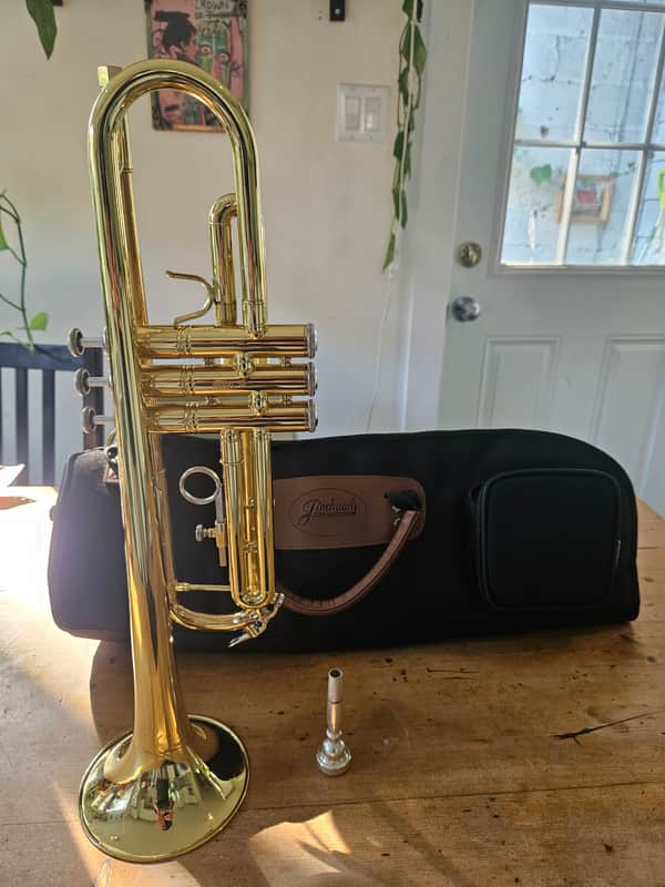 Schagerl SLTR355 (TR355) image 1