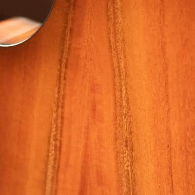 Taylor 512ce Grand Concert Acoustic/Electric Guitar with Hardshell Case image 12