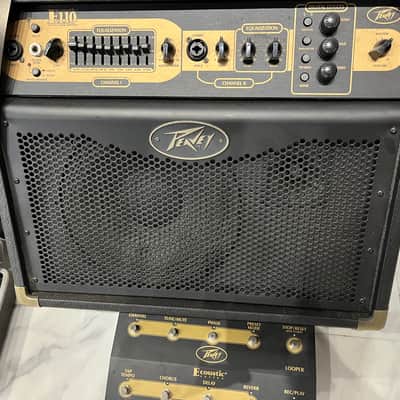 PEAVEY ECOUSTIC E110 ACOUSTIC AMP W FOOT CONTROLLER | Reverb