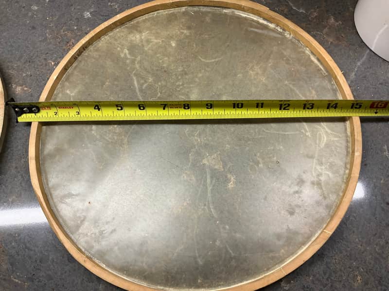 14 “ WFL Calf skin snare drum heads-1950s ? Batter & snare image 1