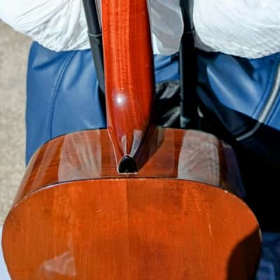 Goya Classical Guitar 1963 - Lacquer image 4