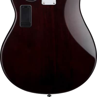 Sterling StingRay RAY5 5-String Bass Guitar, Jatoba Fingerboard, Walnut image 3
