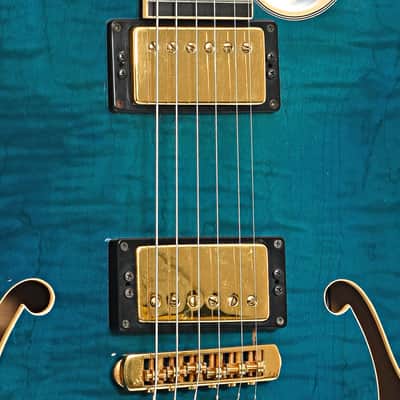 Heritage Roy Clark Signature Semi-Hollowbody Electric Guitar (1996) image 6