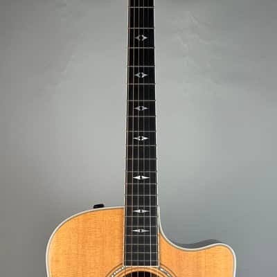 2003 Taylor 810-CE image 3