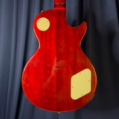 Agile Lefty Les Paul Copy Signed by Dweezil Zappa in 2018 image 14