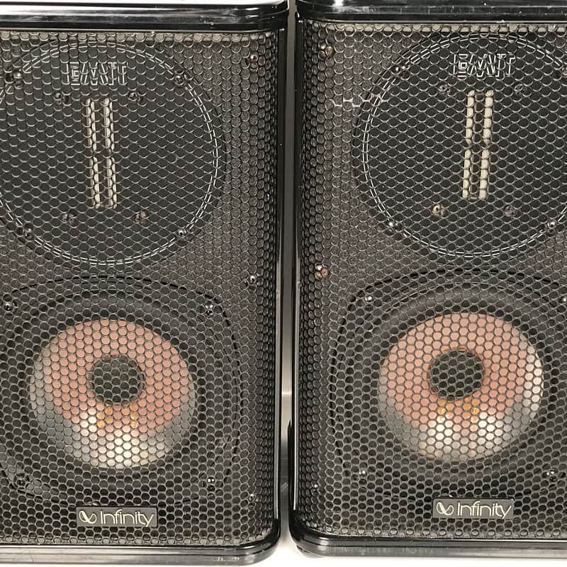 Infinity Infinitesimal RS III Dual Voice Coil Watkins Woofers | Reverb
