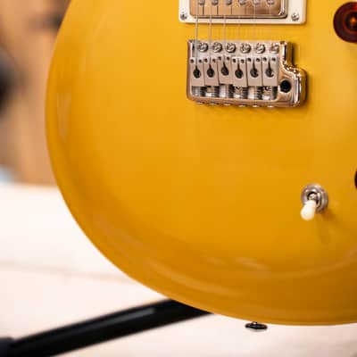 PRS SE DGT MOONS GOLD TOP image 10